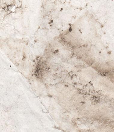 NATURAL BONE - PENDANTS & JEWELLERY