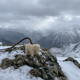 Small mammoth figurine on a snowy mountain peak with a cloudy sky