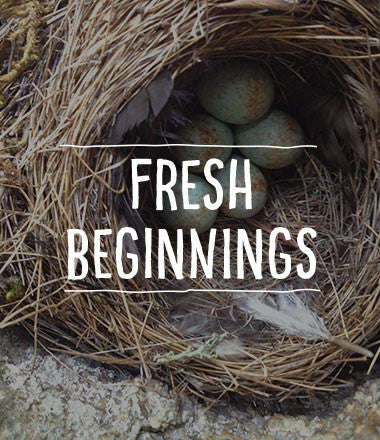 Fresh Beginnings