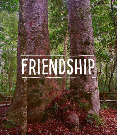 Friendship