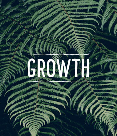 Growth