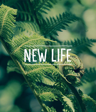 New Life