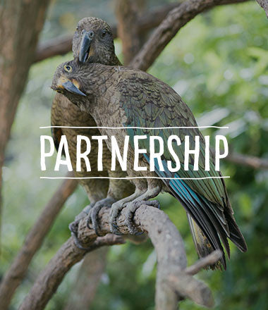 Partnership
