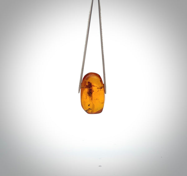 A hand made Burmite amber pendant. We have clasped this piece of amber in a pair of handmade Sterling Silver tweezers designed like jewellers tweezers. The amber is beautifully displayed and has a fly-like insect embedded in the resin.