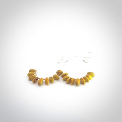 Hand carved New Zealand Kōwhai seed earrings.