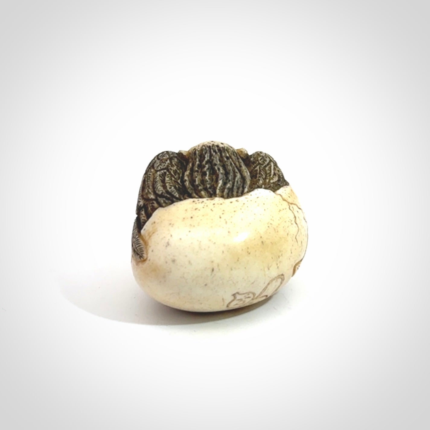 Hand carved Karasu Tengu carving made from Deer antler with Buffalo Horn. Hand made by master bone carver Fumio Noguchi. Spectacular collectable work of art to display. One only, delivered to you at no extra cost with express courier.