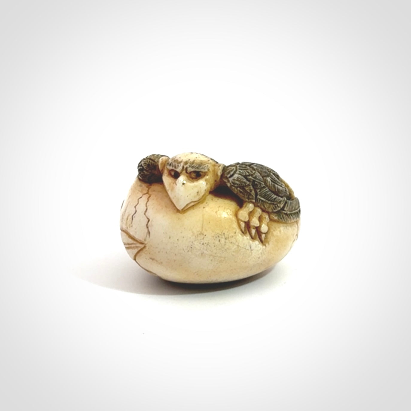 Hand carved Karasu Tengu carving made from Deer antler with Buffalo Horn. Hand made by master bone carver Fumio Noguchi. Spectacular collectable work of art to display. One only, delivered to you at no extra cost with express courier.