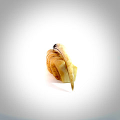 This is a hand carved rams horn huia bird beak pendant. It is made from rams horn with 24 carat gold leaf and jade toggle. This is a large sized necklace and is a very unique, one only, pendant that is a collectors piece. Hand carved by New Zealand artist, Sami.