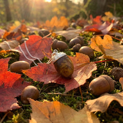 acorn pendant