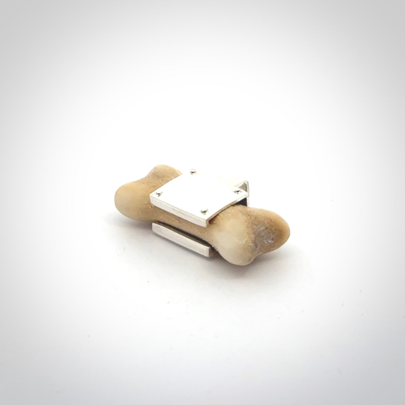 This is a hand carved deer antler dog bone dog tag. It is made from deer antler, bone and sterling silver. Hand made dog tags for your dog.