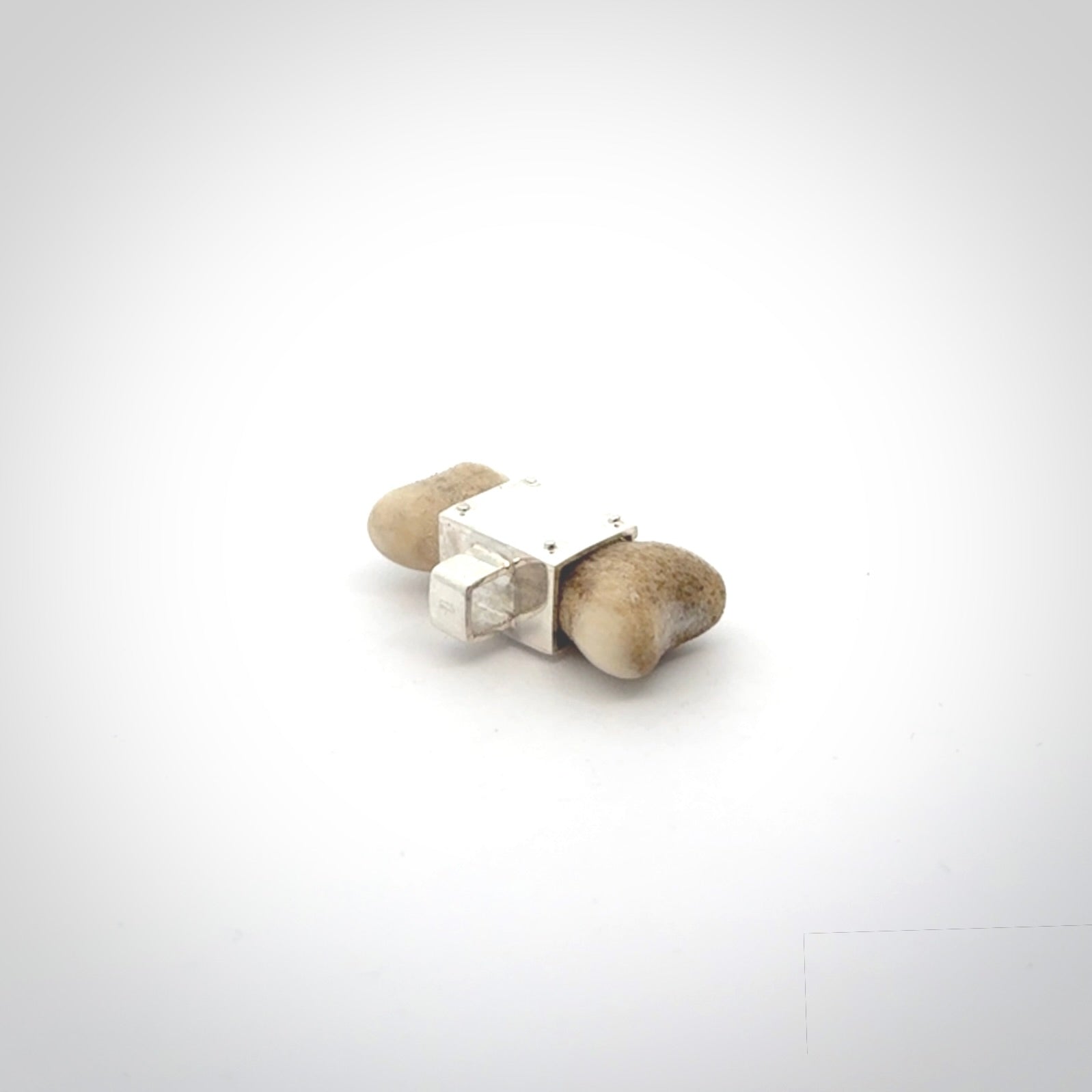 This is a hand carved deer antler dog bone dog tag. It is made from deer antler, bone and sterling silver. Hand made dog tags for your dog.