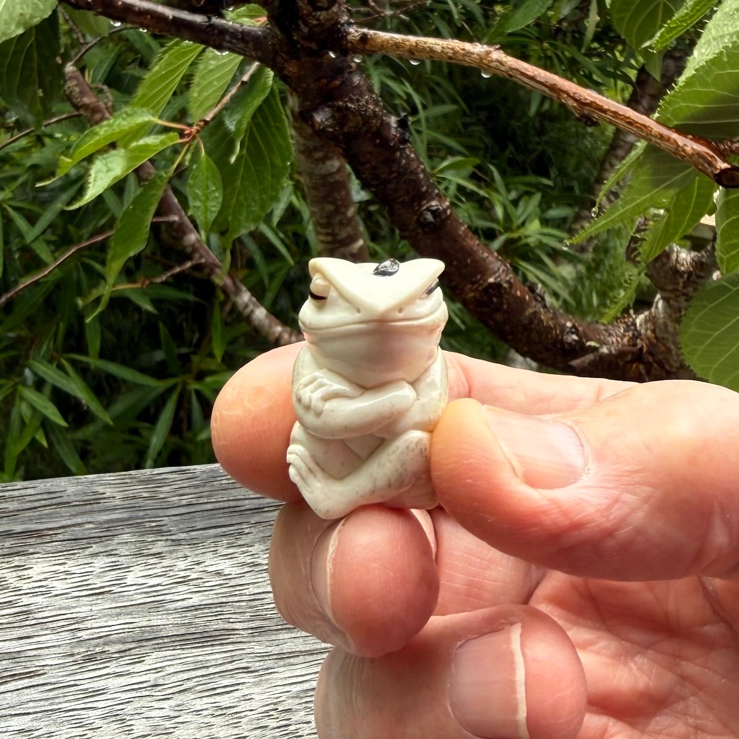 Hand carved meditating frog with slug on its head, made from Deer antler and black mother of pearl. Hand made by master bone carver Fumio Noguchi. Spectacular collectable work of art to display. One only, delivered to you at no extra cost with express courier.