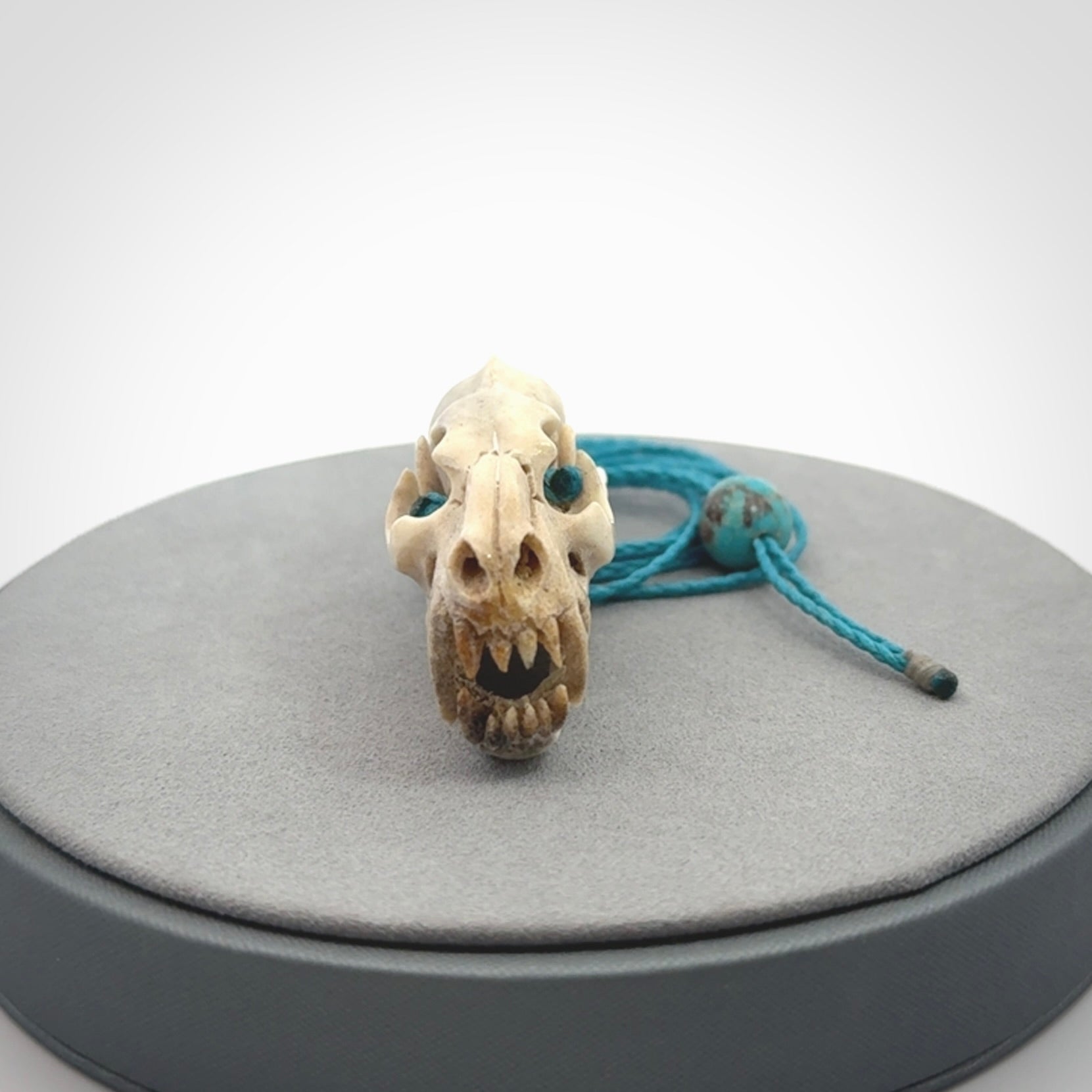 This is a hand carved deer antler cat skull pendant. It is made from deer antler, bone. This is a large sized necklace and is a very unique, one only, pendant that is a collectors piece. Hand carved deer antler cat skull necklace for men and women.