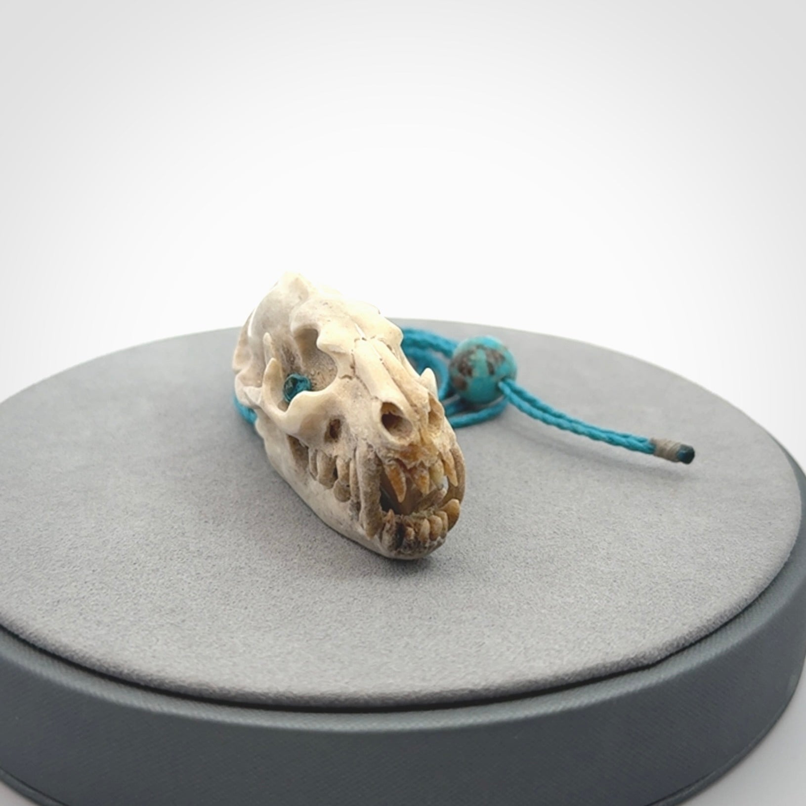 This is a hand carved deer antler cat skull pendant. It is made from deer antler, bone. This is a large sized necklace and is a very unique, one only, pendant that is a collectors piece. Hand carved deer antler cat skull necklace for men and women.