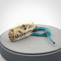 This is a hand carved deer antler cat skull pendant. It is made from deer antler, bone. This is a large sized necklace and is a very unique, one only, pendant that is a collectors piece. Hand carved deer antler cat skull necklace for men and women.