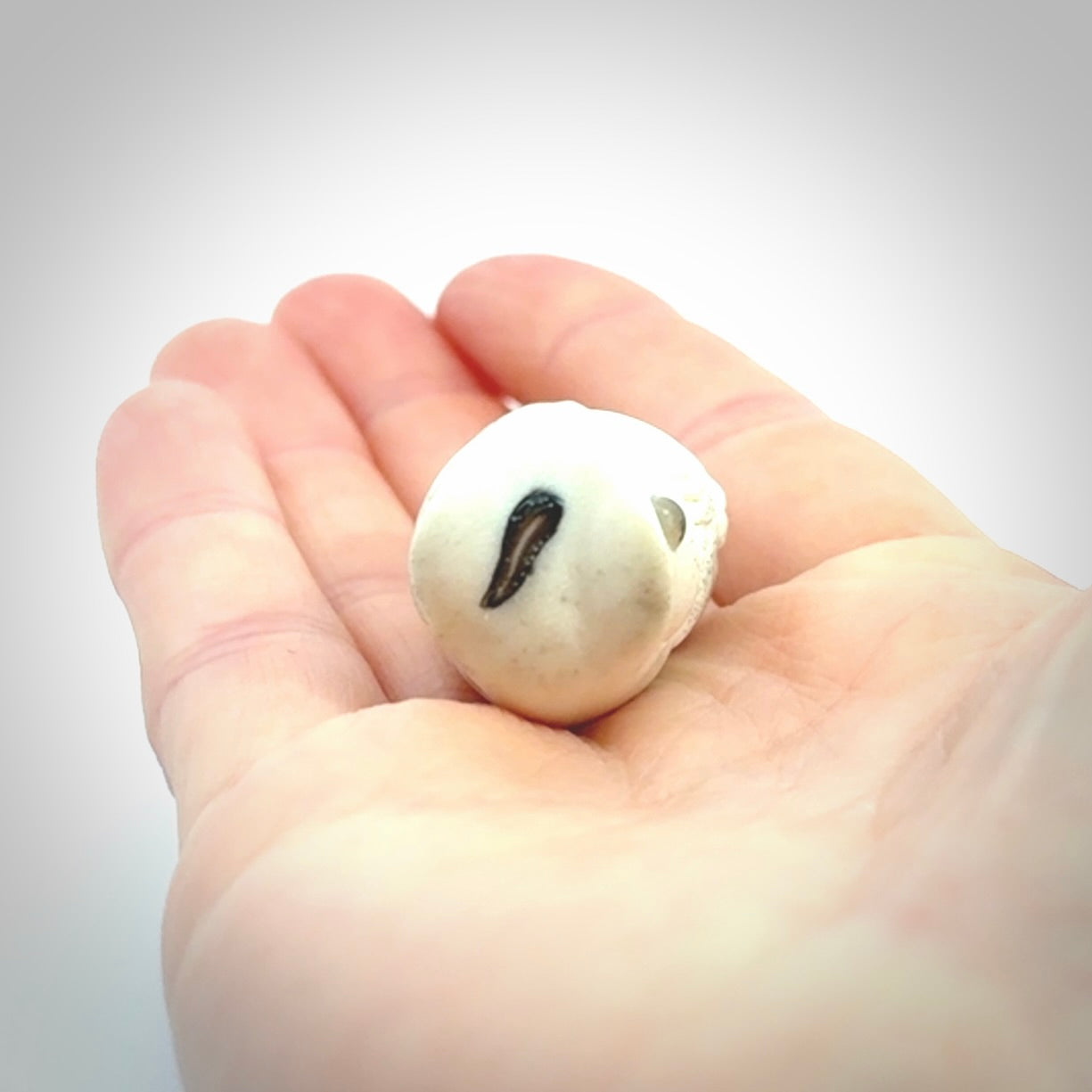 Hand carved meditating frog with slug on its head, made from Deer antler and black mother of pearl. Hand made by master bone carver Fumio Noguchi. Spectacular collectable work of art to display. One only, delivered to you at no extra cost with express courier.