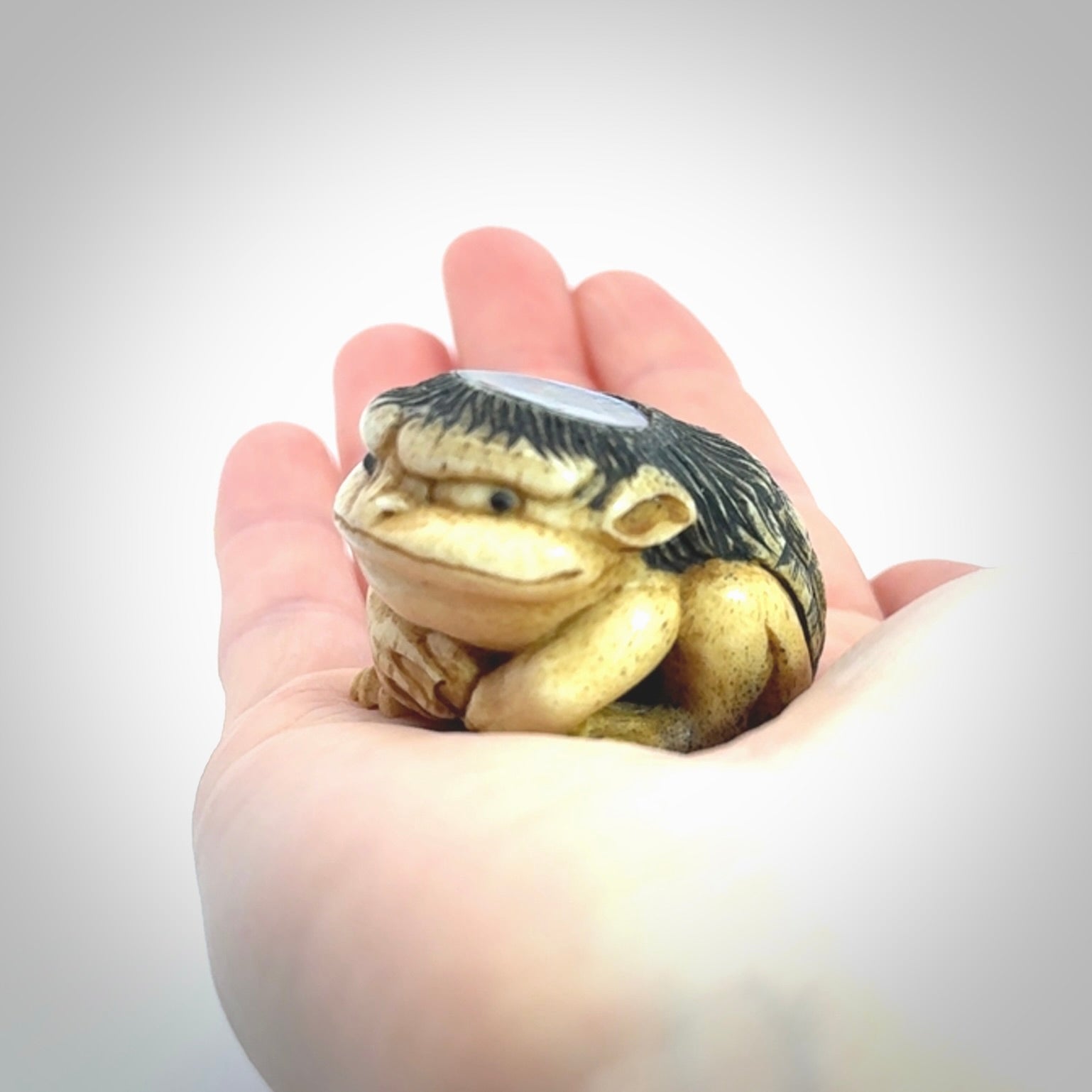 Hand carved incredible Kappa holding cucumber carving in deer antler with paua shell and buffalo horn. A one off collectors item that has been hand crafted to be displayed.