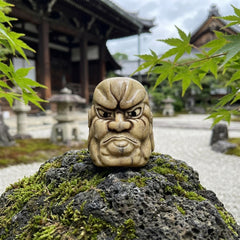 Ni-oh ring placed on a rock