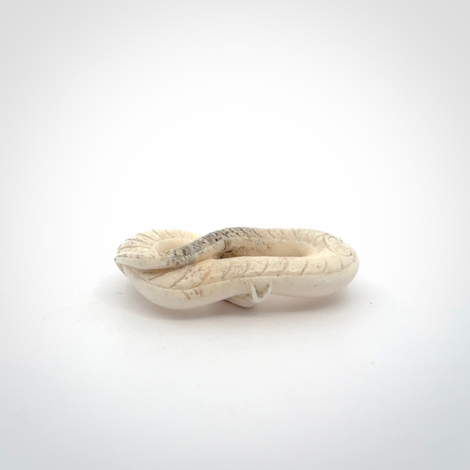 Hand carved white snake pendant made from Deer antler in New Zealand. Hand made by master bone carver Fumio Noguchi. Spectacular collectable work of art, made to wear. One only pendant, delivered to you at no extra cost with express courier.