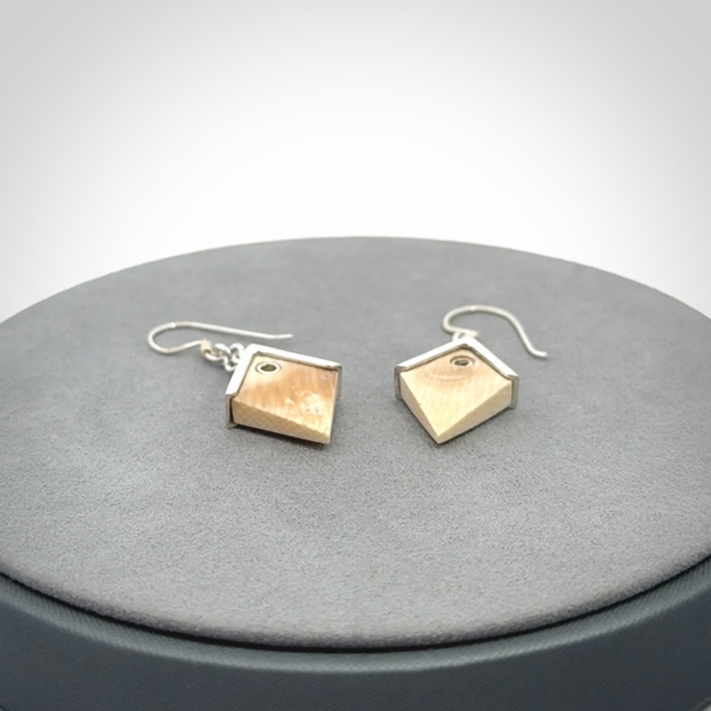 Ancient Mammoth Tusk and Sterling Silver Earrings