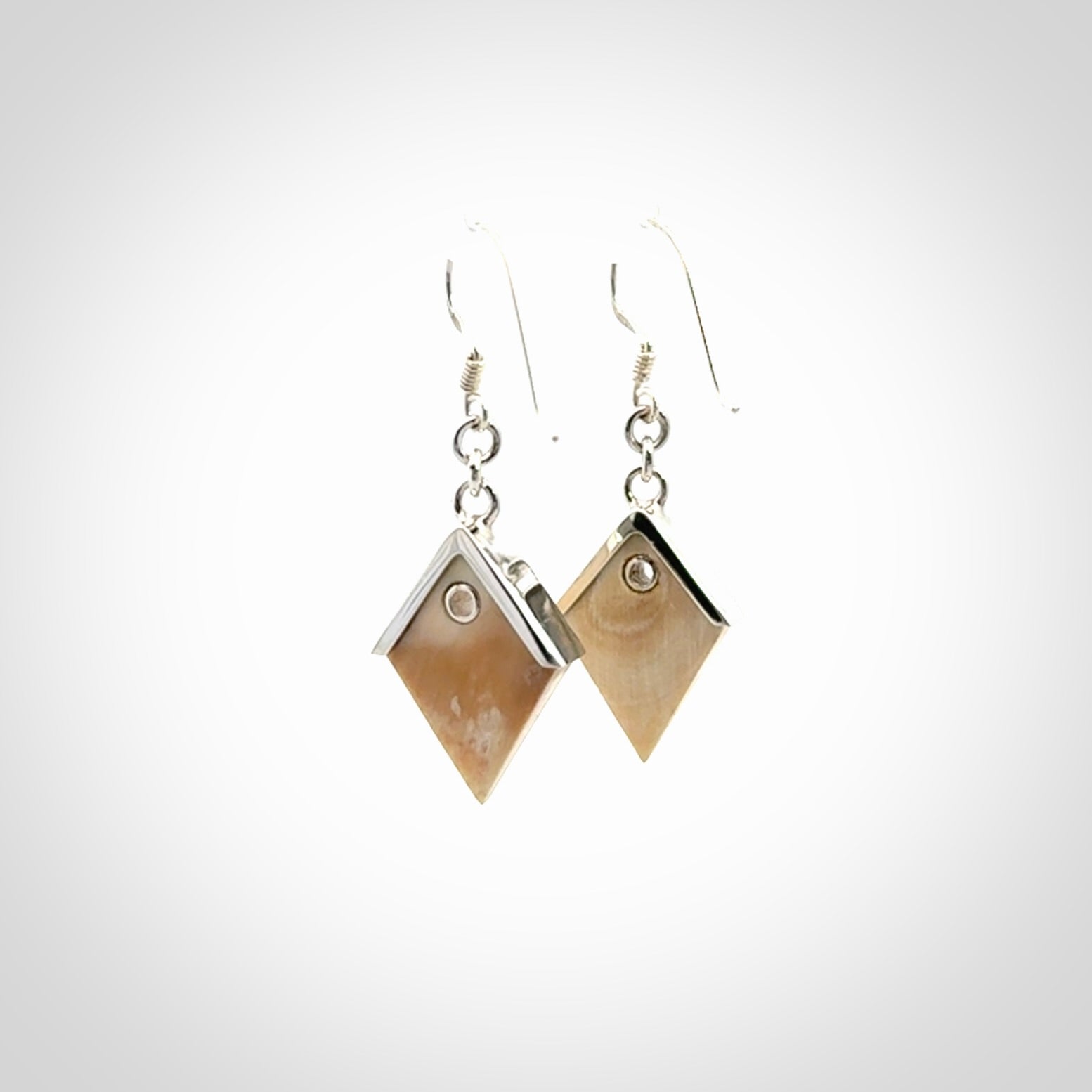 Ancient Mammoth Tusk and Sterling Silver Earrings