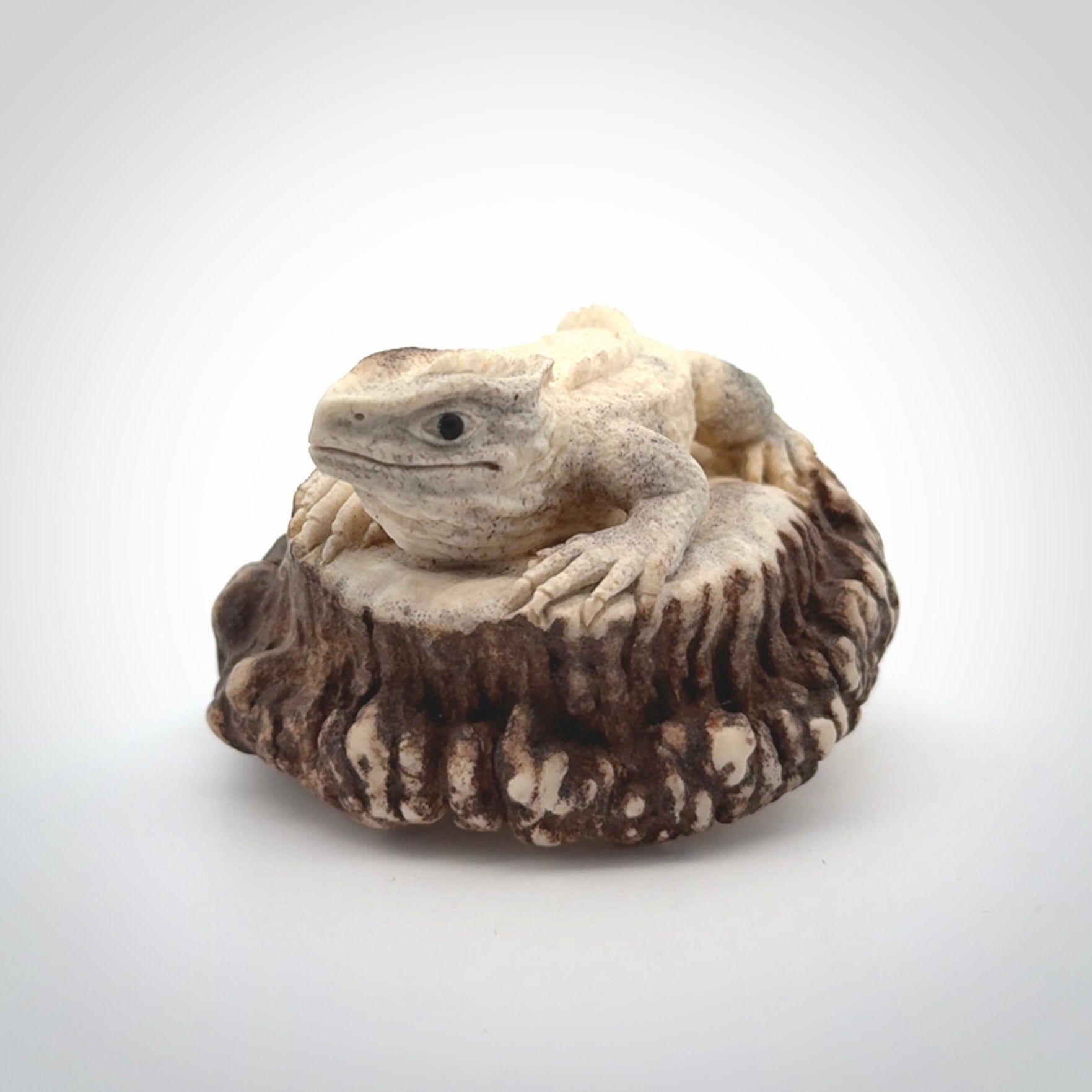 Hand carved Tuatara Sculpture carving made from Deer antler crown. Hand made by master bone carver Fumio Noguchi. Spectacular collectable work of art to display. One only, delivered to you at no extra cost with express courier.