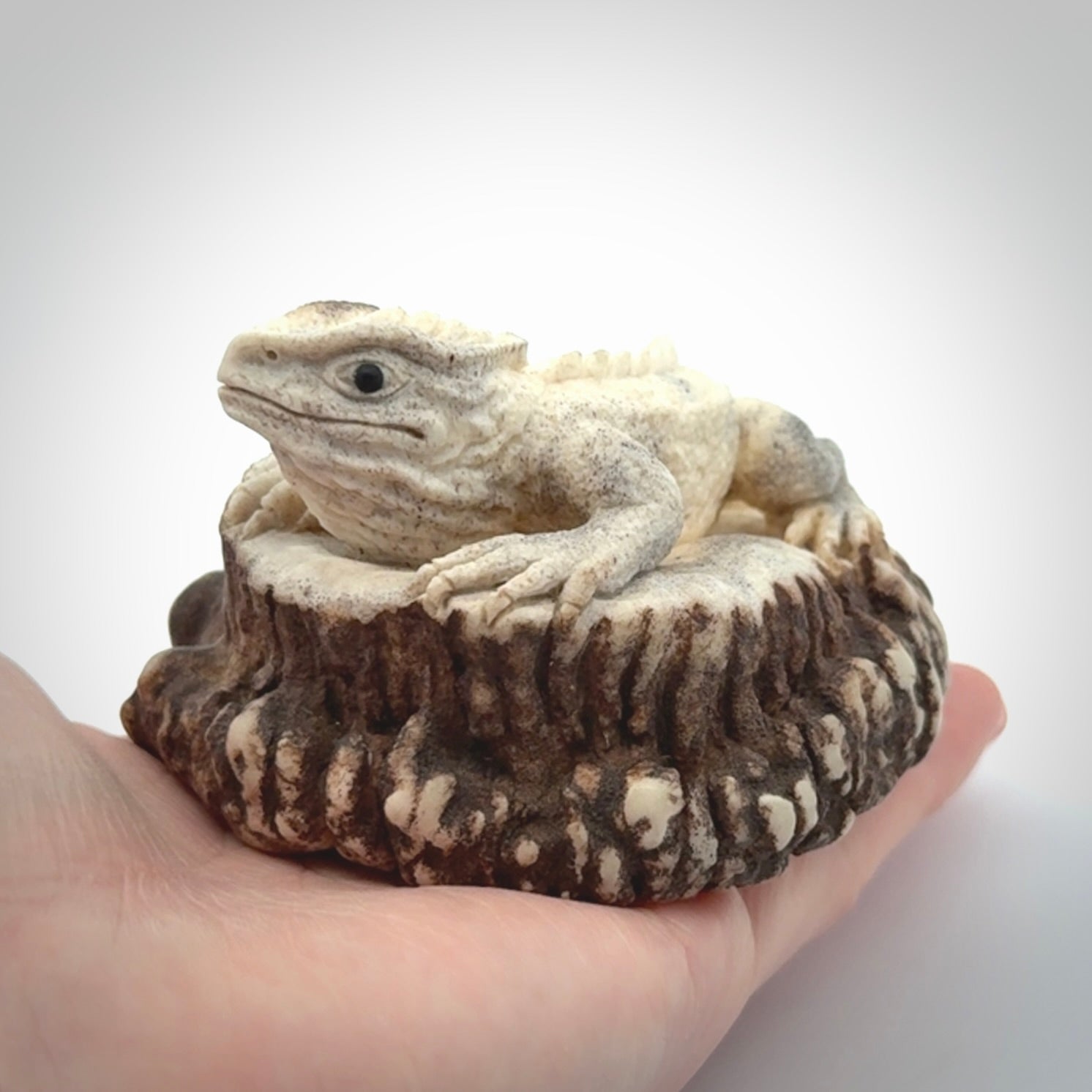 Hand carved Tuatara Sculpture carving made from Deer antler crown. Hand made by master bone carver Fumio Noguchi. Spectacular collectable work of art to display. One only, delivered to you at no extra cost with express courier.