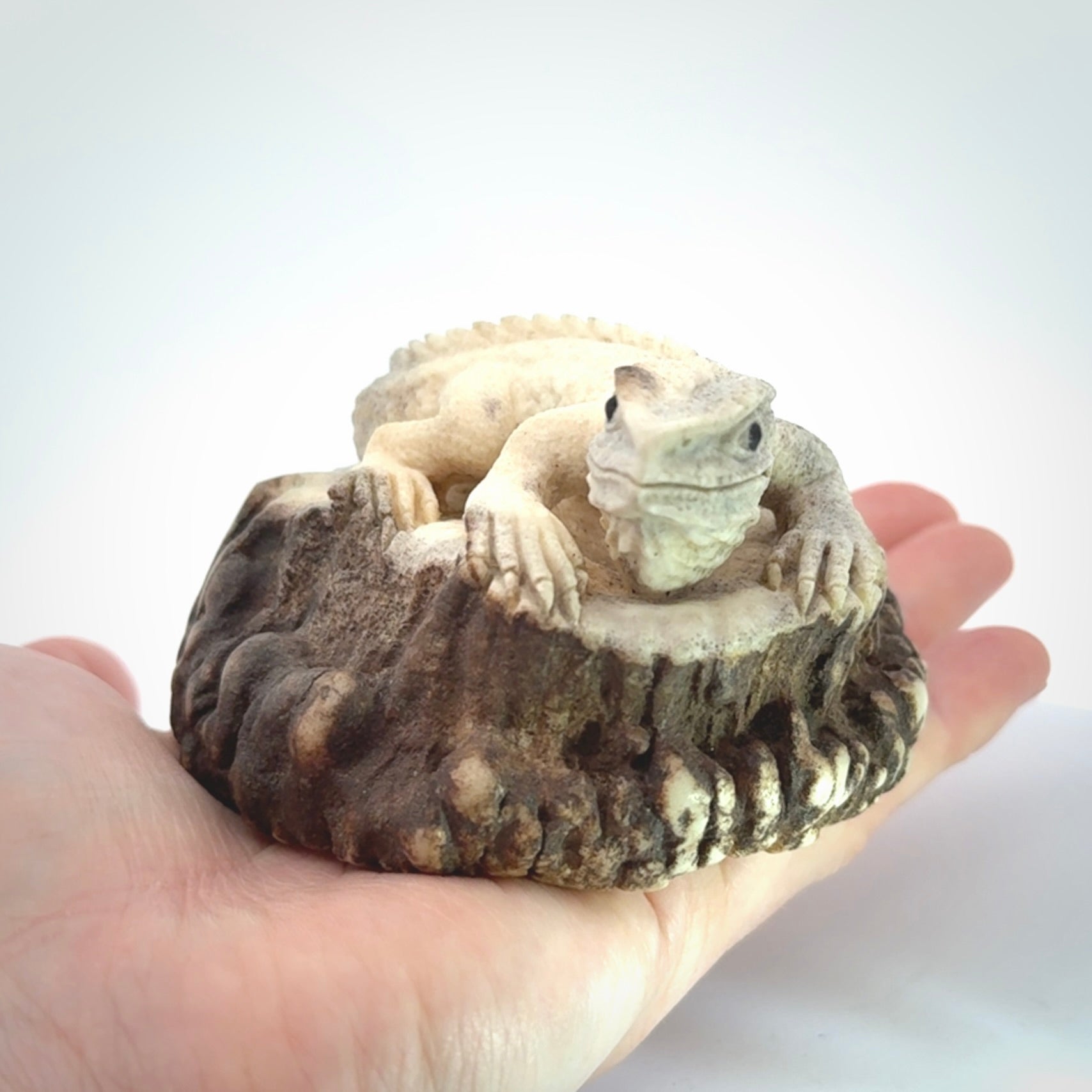 Hand carved Tuatara Sculpture carving made from Deer antler crown. Hand made by master bone carver Fumio Noguchi. Spectacular collectable work of art to display. One only, delivered to you at no extra cost with express courier.