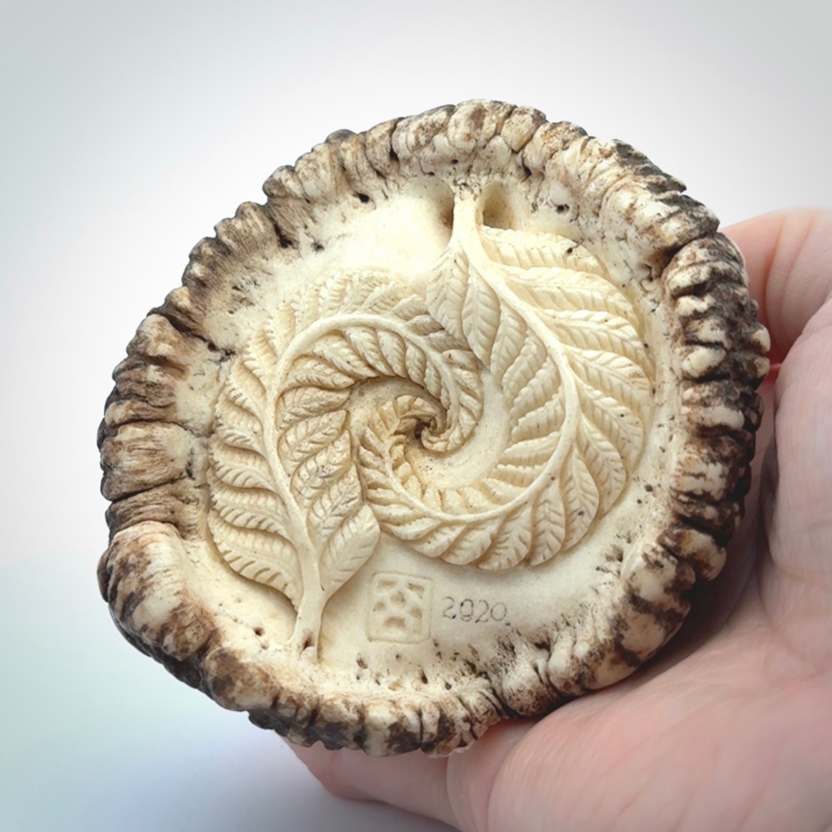 Hand carved Tuatara Sculpture carving made from Deer antler crown. Hand made by master bone carver Fumio Noguchi. Spectacular collectable work of art to display. One only, delivered to you at no extra cost with express courier.