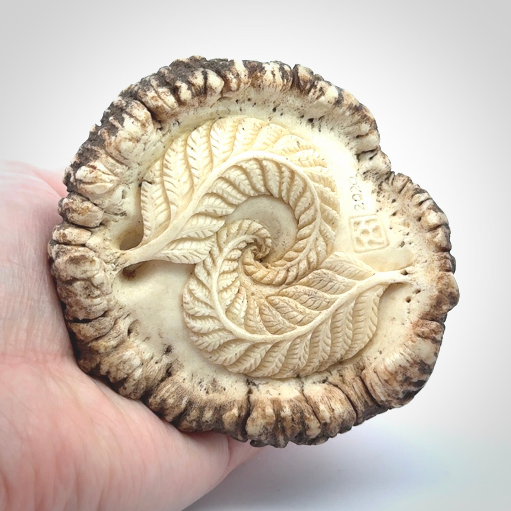 Hand carved Tuatara Sculpture carving made from Deer antler crown. Hand made by master bone carver Fumio Noguchi. Spectacular collectable work of art to display. One only, delivered to you at no extra cost with express courier.