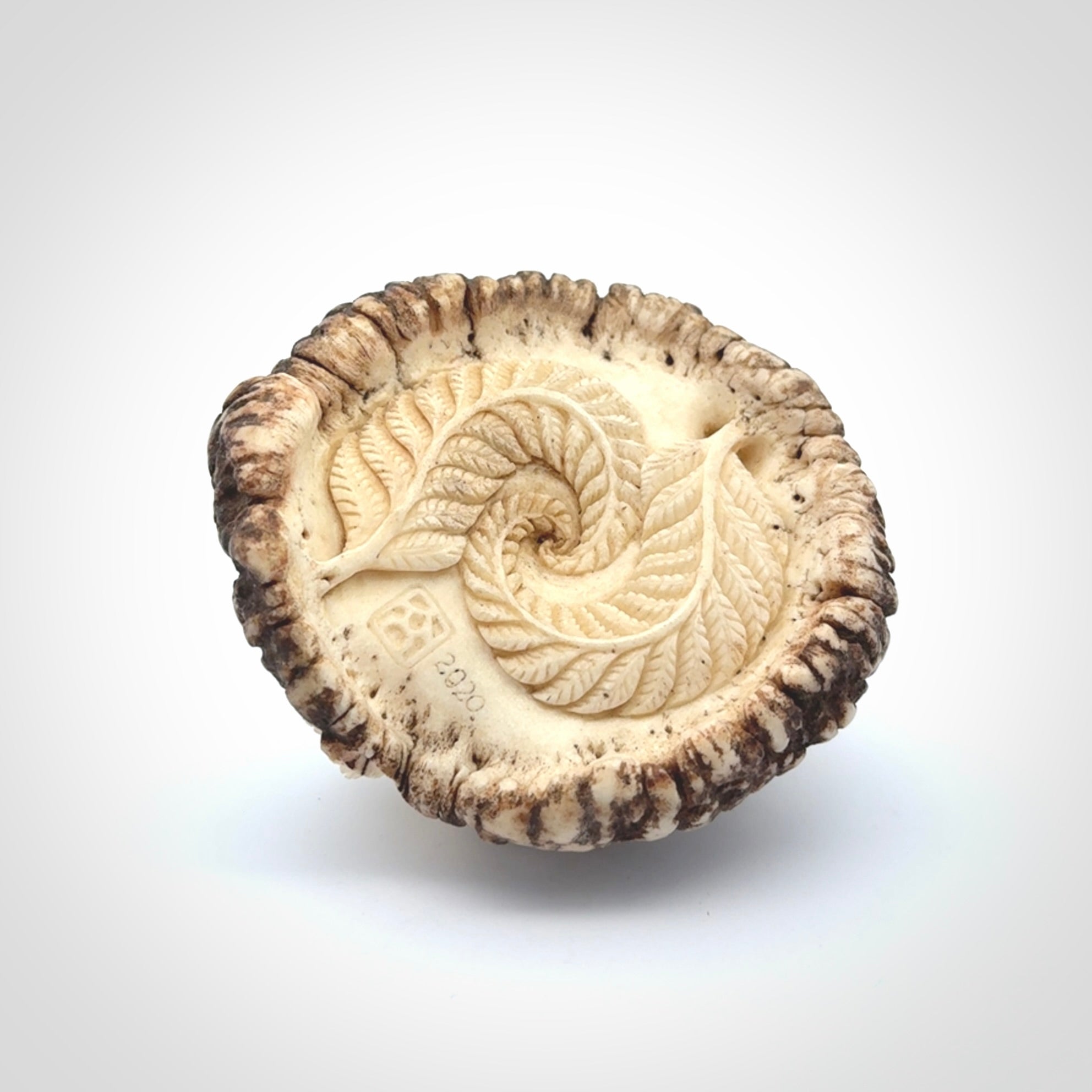 Hand carved Tuatara Sculpture carving made from Deer antler crown. Hand made by master bone carver Fumio Noguchi. Spectacular collectable work of art to display. One only, delivered to you at no extra cost with express courier.