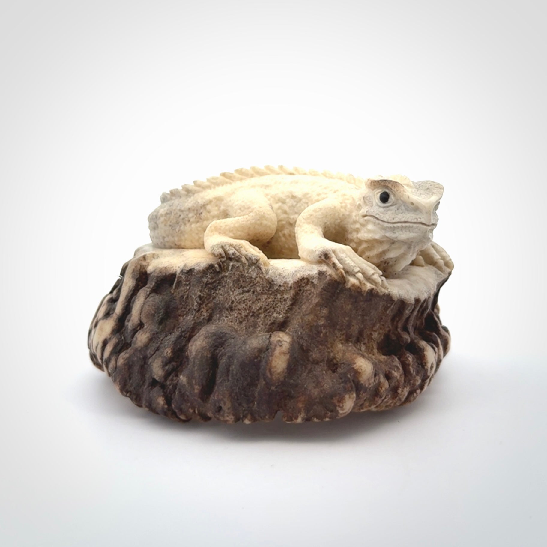 Hand carved Tuatara Sculpture carving made from Deer antler crown. Hand made by master bone carver Fumio Noguchi. Spectacular collectable work of art to display. One only, delivered to you at no extra cost with express courier.