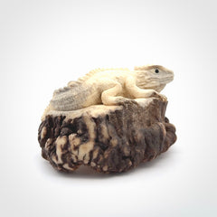 Hand carved Tuatara Sculpture carving made from Deer antler crown. Hand made by master bone carver Fumio Noguchi. Spectacular collectable work of art to display. One only, delivered to you at no extra cost with express courier.