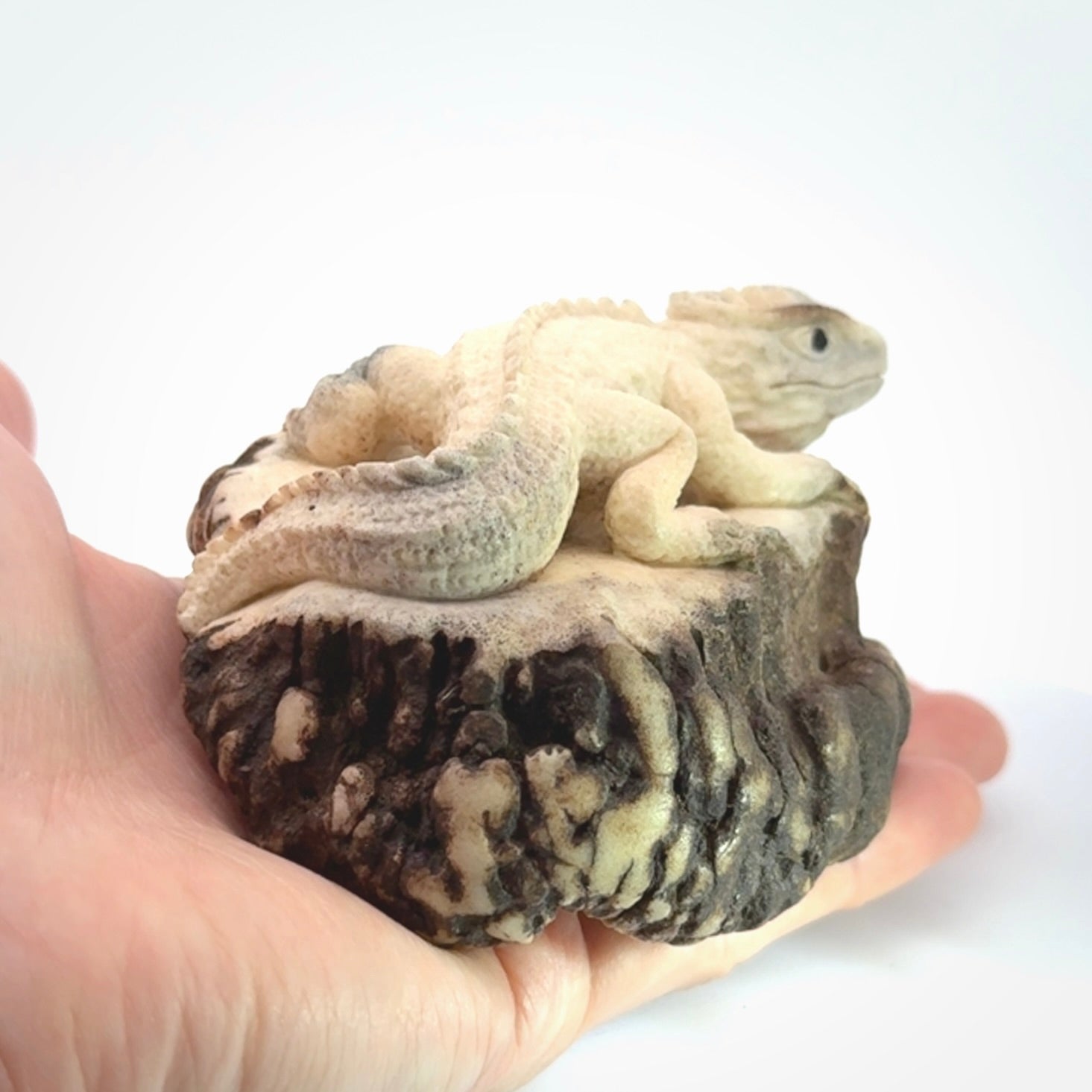 Hand carved Tuatara Sculpture carving made from Deer antler crown. Hand made by master bone carver Fumio Noguchi. Spectacular collectable work of art to display. One only, delivered to you at no extra cost with express courier.