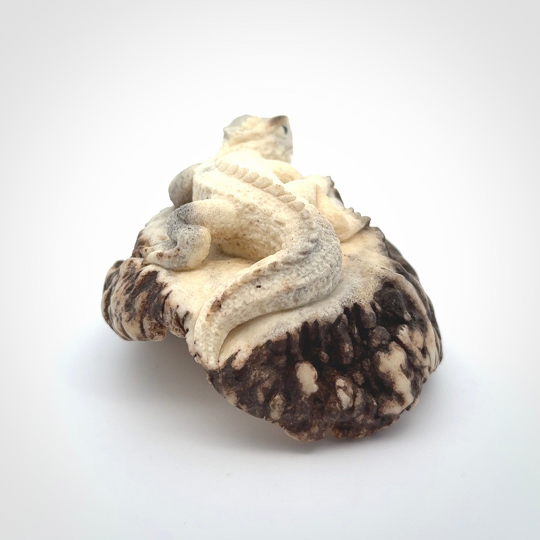 Hand carved Tuatara Sculpture carving made from Deer antler crown. Hand made by master bone carver Fumio Noguchi. Spectacular collectable work of art to display. One only, delivered to you at no extra cost with express courier.