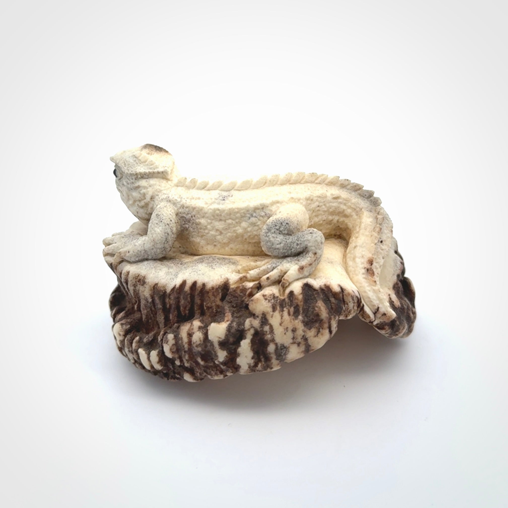 Hand carved Tuatara Sculpture carving made from Deer antler crown. Hand made by master bone carver Fumio Noguchi. Spectacular collectable work of art to display. One only, delivered to you at no extra cost with express courier.