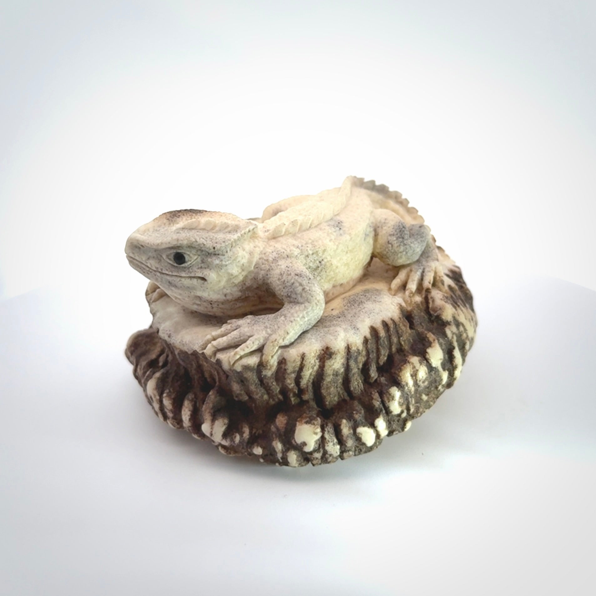 Hand carved Tuatara Sculpture carving made from Deer antler crown. Hand made by master bone carver Fumio Noguchi. Spectacular collectable work of art to display. One only, delivered to you at no extra cost with express courier.