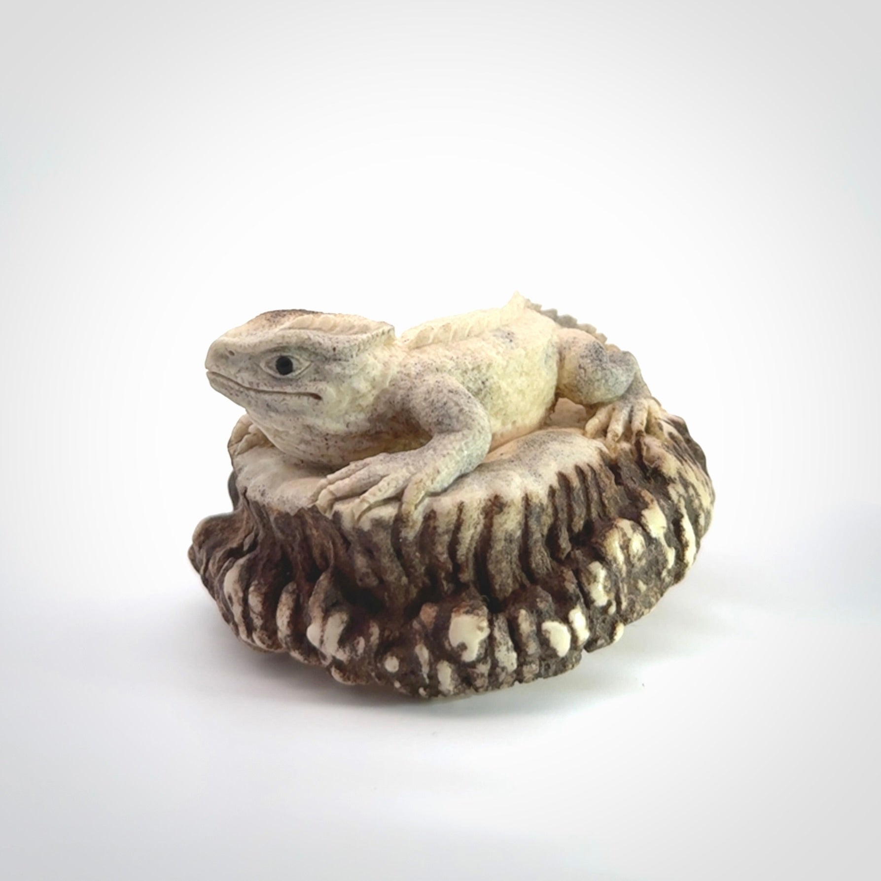 Hand carved Tuatara Sculpture carving made from Deer antler crown. Hand made by master bone carver Fumio Noguchi. Spectacular collectable work of art to display. One only, delivered to you at no extra cost with express courier.