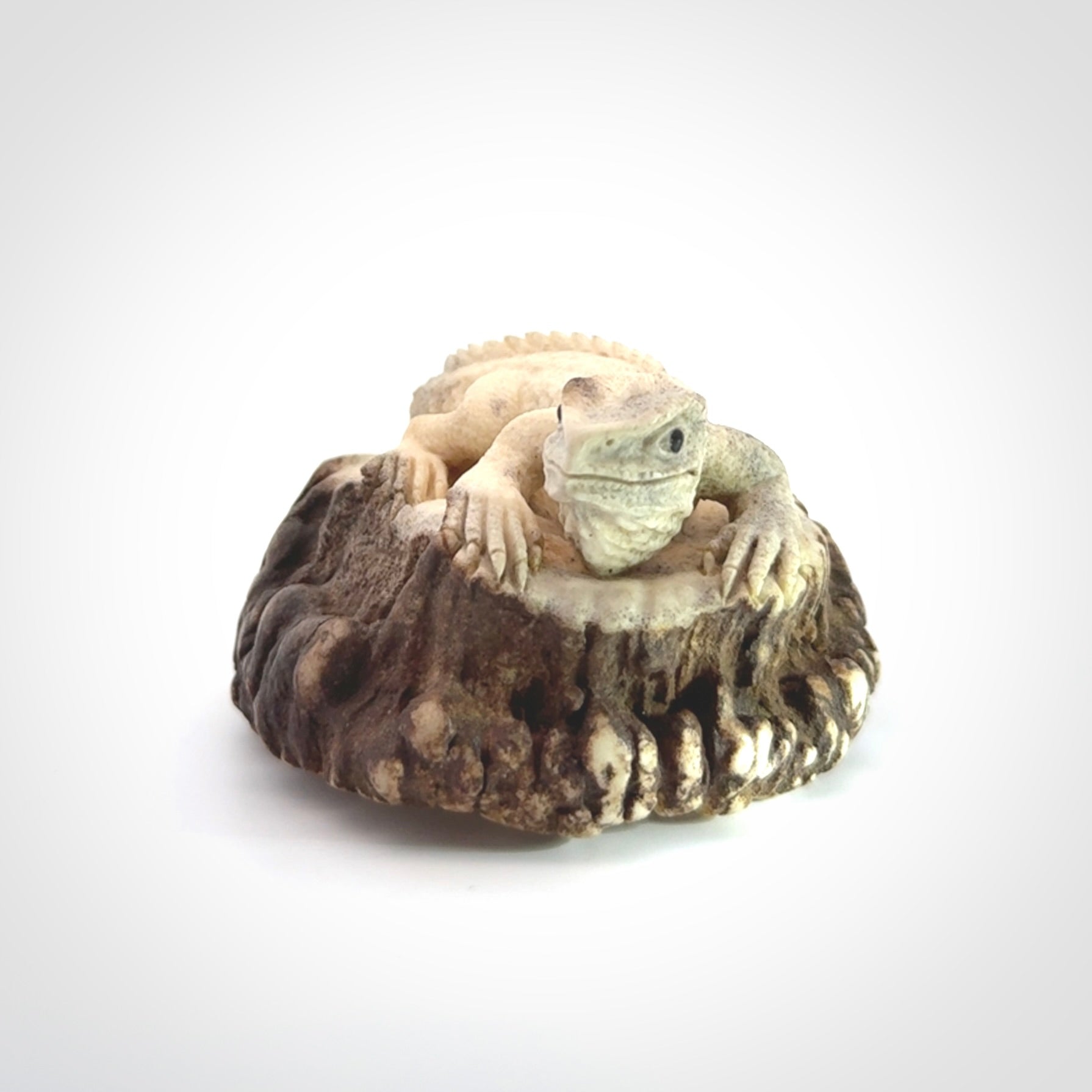 Hand carved Tuatara Sculpture carving made from Deer antler crown. Hand made by master bone carver Fumio Noguchi. Spectacular collectable work of art to display. One only, delivered to you at no extra cost with express courier.