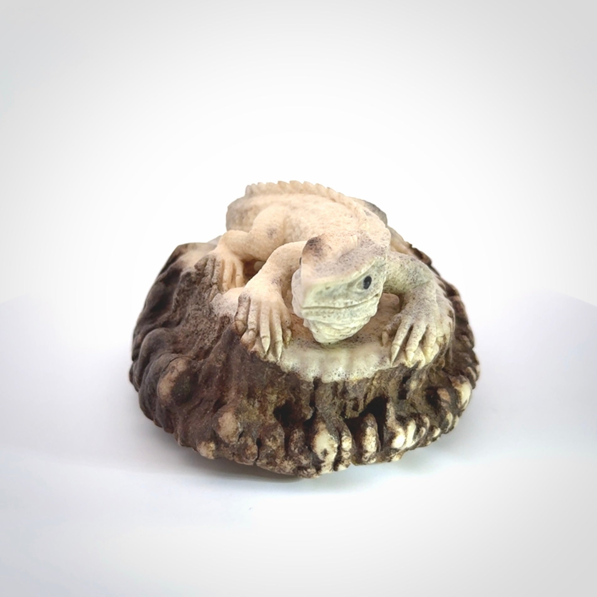Hand carved Tuatara Sculpture carving made from Deer antler crown. Hand made by master bone carver Fumio Noguchi. Spectacular collectable work of art to display. One only, delivered to you at no extra cost with express courier.