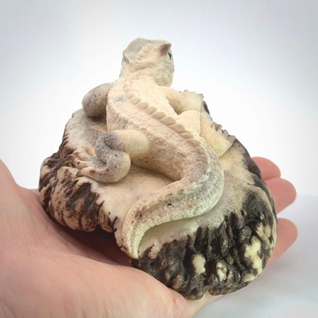Hand carved Tuatara Sculpture carving made from Deer antler crown. Hand made by master bone carver Fumio Noguchi. Spectacular collectable work of art to display. One only, delivered to you at no extra cost with express courier.