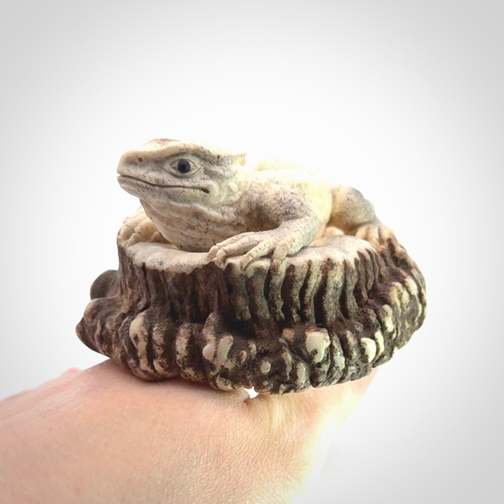 Hand carved Tuatara Sculpture carving made from Deer antler crown. Hand made by master bone carver Fumio Noguchi. Spectacular collectable work of art to display. One only, delivered to you at no extra cost with express courier.