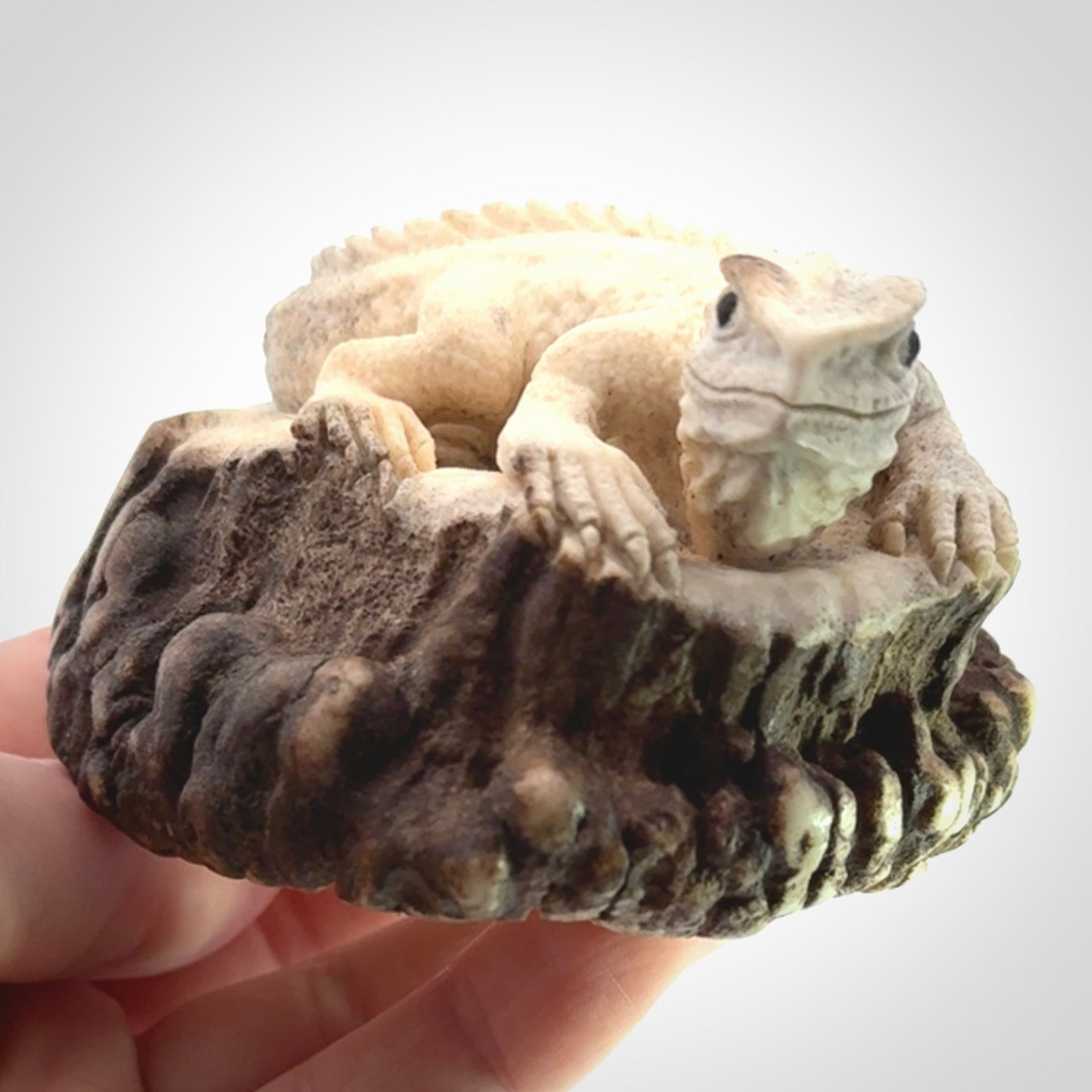 Hand carved Tuatara Sculpture carving made from Deer antler crown. Hand made by master bone carver Fumio Noguchi. Spectacular collectable work of art to display. One only, delivered to you at no extra cost with express courier.