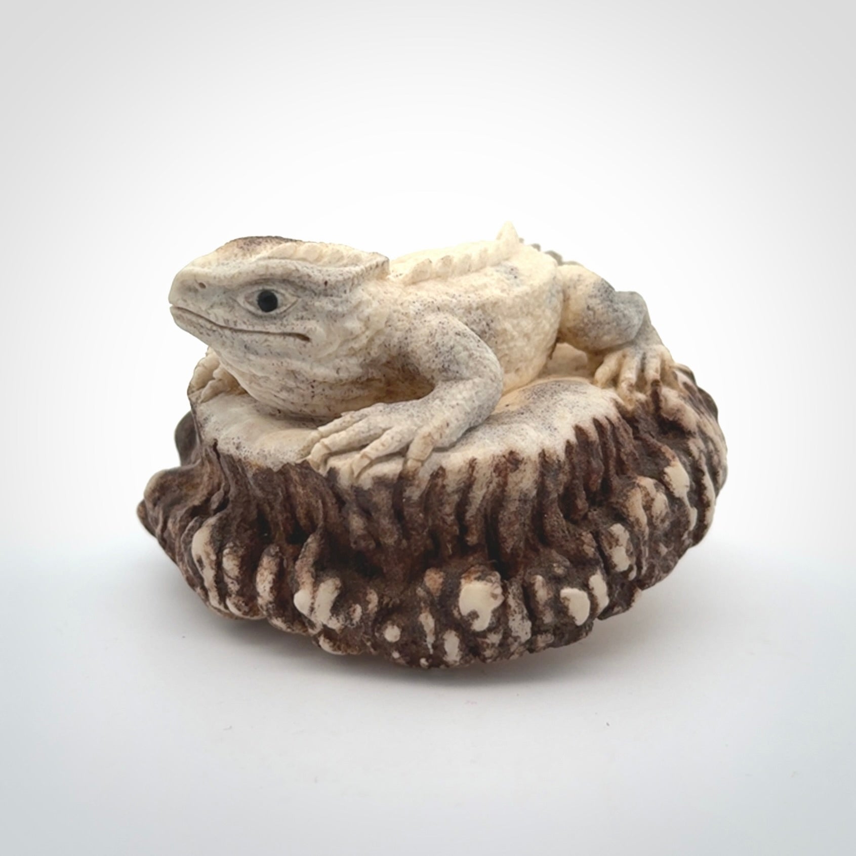 Hand carved Tuatara Sculpture carving made from Deer antler crown. Hand made by master bone carver Fumio Noguchi. Spectacular collectable work of art to display. One only, delivered to you at no extra cost with express courier.