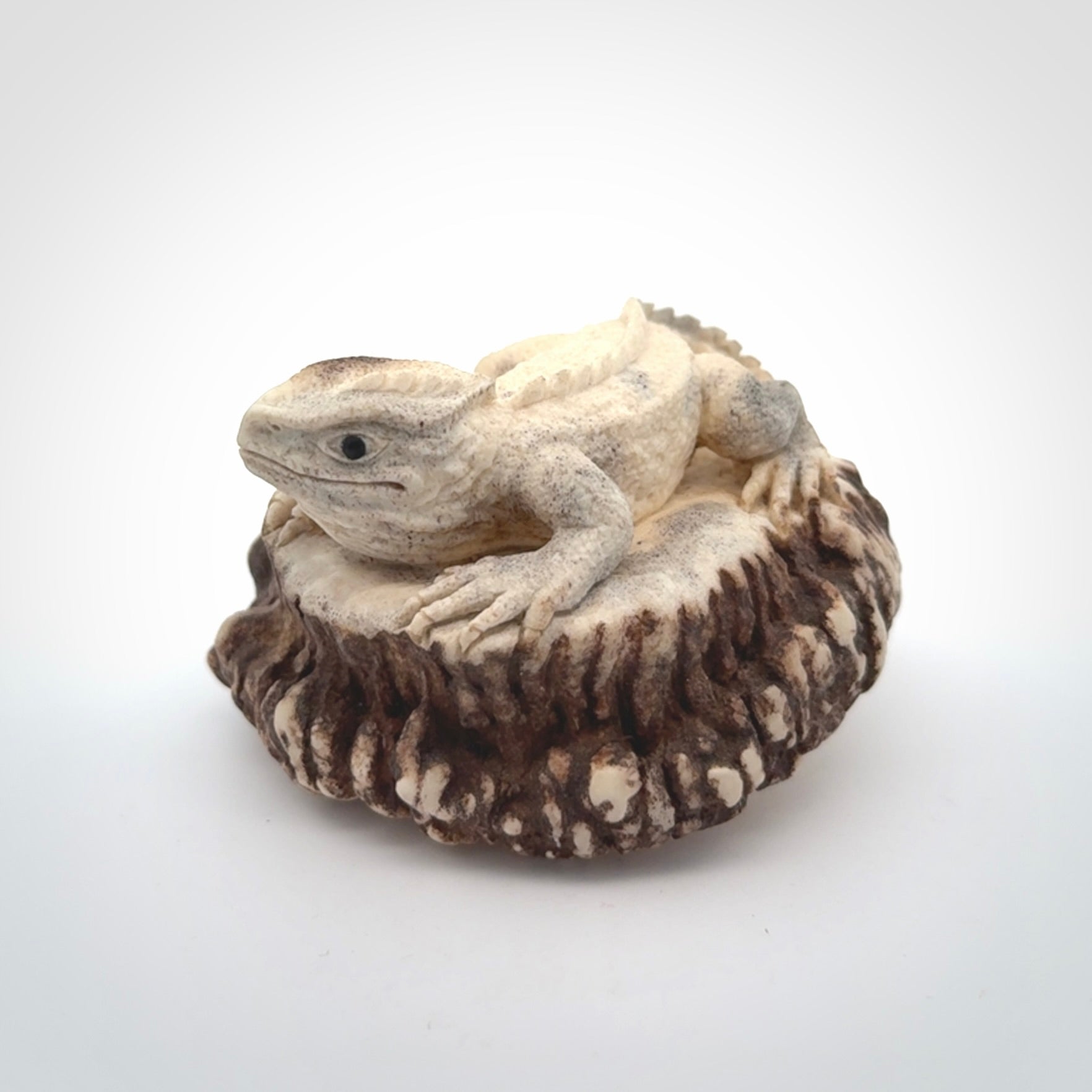 Hand carved Tuatara Sculpture carving made from Deer antler crown. Hand made by master bone carver Fumio Noguchi. Spectacular collectable work of art to display. One only, delivered to you at no extra cost with express courier.