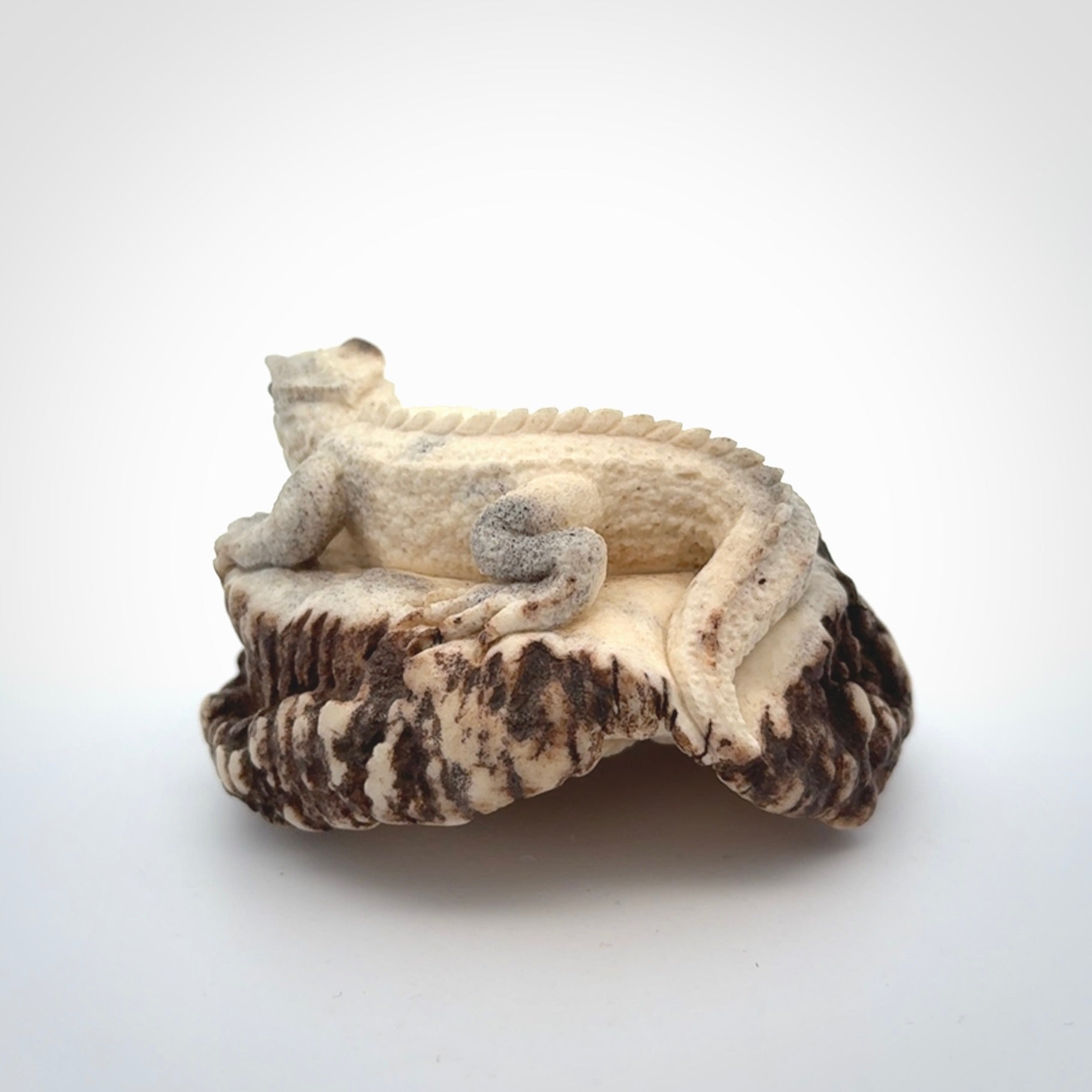 Hand carved Tuatara Sculpture carving made from Deer antler crown. Hand made by master bone carver Fumio Noguchi. Spectacular collectable work of art to display. One only, delivered to you at no extra cost with express courier.