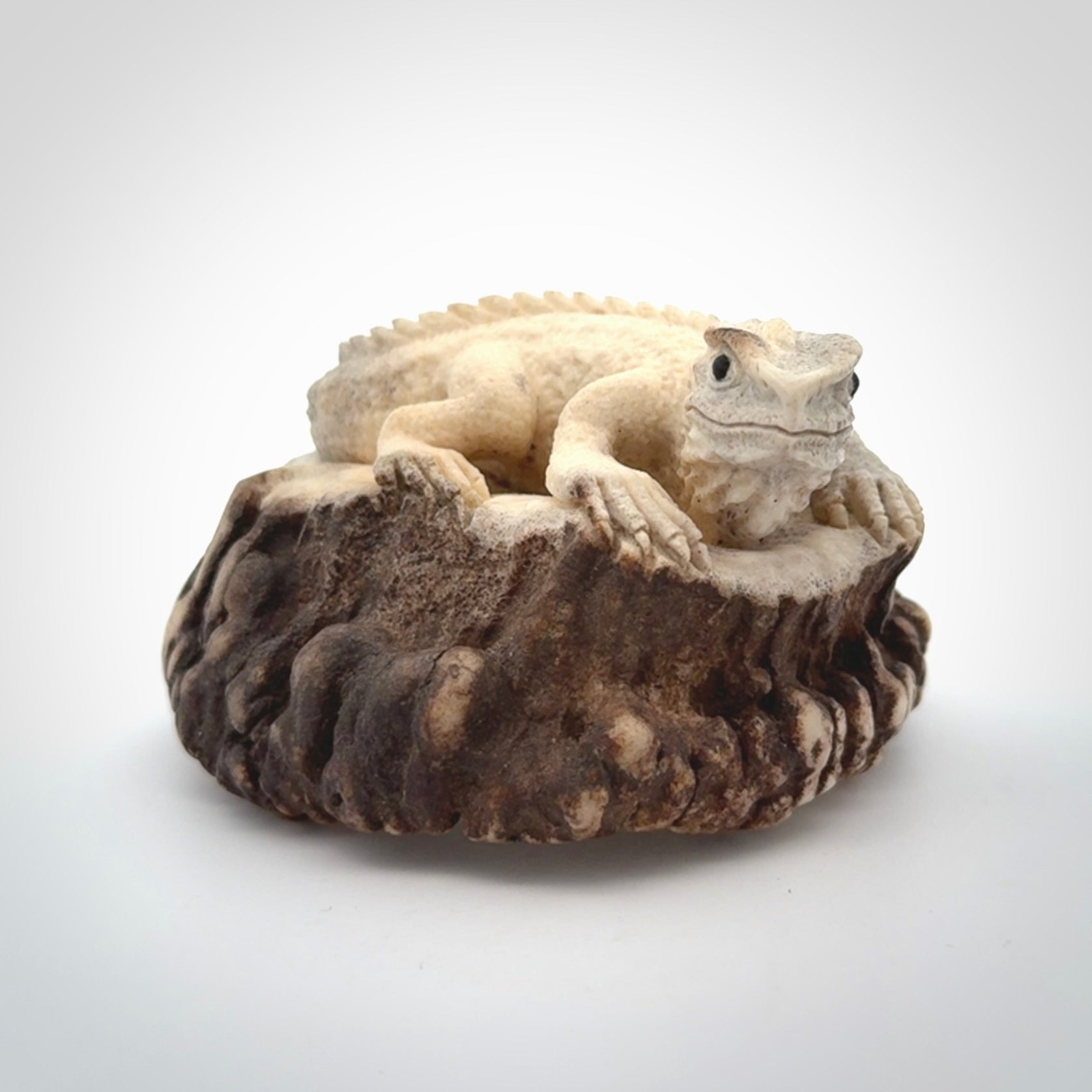 Hand carved Tuatara Sculpture carving made from Deer antler crown. Hand made by master bone carver Fumio Noguchi. Spectacular collectable work of art to display. One only, delivered to you at no extra cost with express courier.