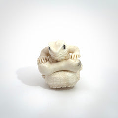 Hand carved incredible tuatara with dinosaur bone carving. A stunning work of art, beautifully replicating a tuatara holding a dinosaur bone. A one off collectors item that has been hand crafted to be worn or displayed.