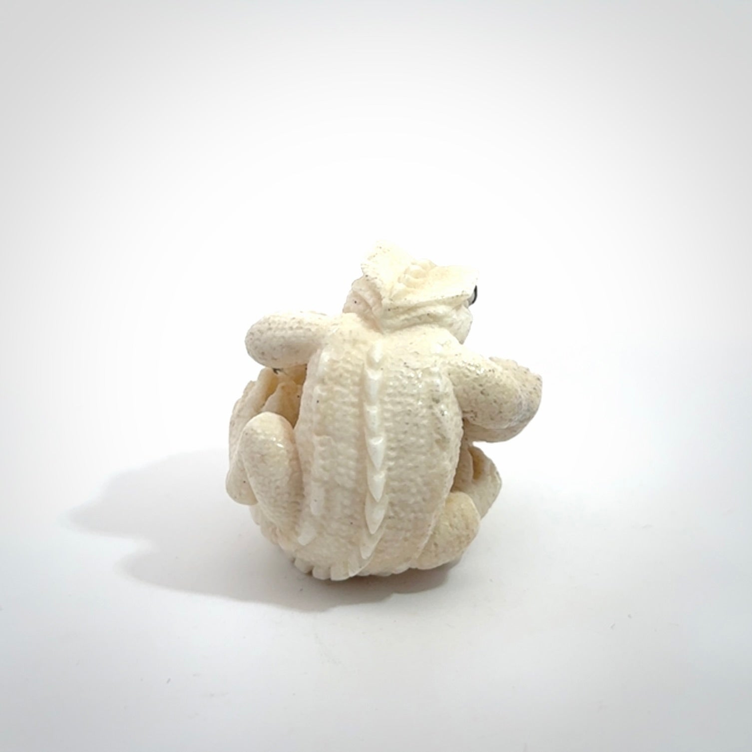 Hand carved incredible tuatara with dinosaur bone carving. A stunning work of art, beautifully replicating a tuatara holding a dinosaur bone. A one off collectors item that has been hand crafted to be worn or displayed.