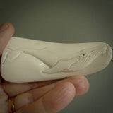 Hand carved humpback whale pendant, carved by us. This piece is carved from cow bone and is a fantastic depiction of these giants of the deep. This particular piece is a humpback whale design and is lovingly carved.